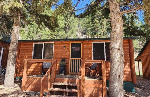 Hill City Cabin | Close to Mt. Rushmore, Crazy Horse, Sylvan lake. Walk to 1880 train and Trails