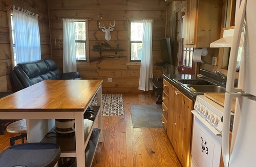 Franklin Cabin | Close to town, easy to get to, internet, cell reception - Flying Pig Cabin