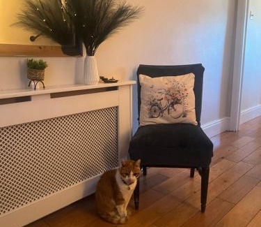 London Borough of Hounslow House | Cluaine Meala cottage