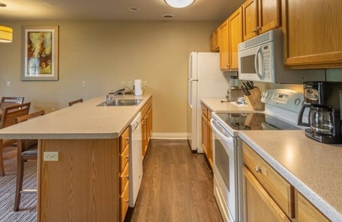 Lake Delton Condo | Club Wyndham Tamarack - Stunning 1 Bedroom