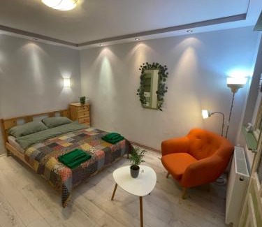 Cluj-Napoca Apartment | Cluj City Marasti Studio Andromeda