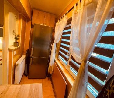 Cluj-Napoca Apartment | Cluj City Marasti Studio Andromeda
