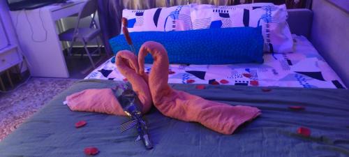 Bandar Kota Bharu Apartment | CMK TROIKA APARTMEN#Free Netflix