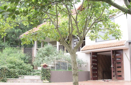 Soc Son House | Co Garden - Ulesa neighbor's house