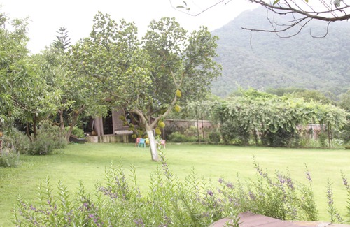 Soc Son House | Co Garden - Ulesa neighbor's house