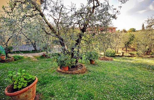 Mercatale Val di Pesa Apartment | Cosy apartment for 6 people with WIFI, terrace and parking, close to Greve In Chianti
