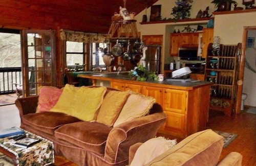 Hayesville Cabin | Cobra6-wheelchair friendly 3 BR/2.5B A cabin deep in forest - tranquil/private