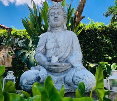 Flandes House | Coccoloba Hotel