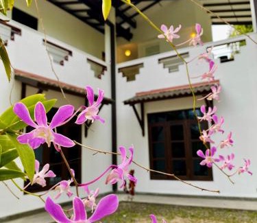 Polhena House | Coco Inn Polhena