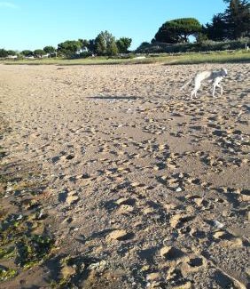 Saint-Denis-d'Oleron House | cocon bien douiile