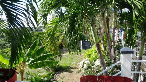 Douville House | Coconing logements studios et maisons