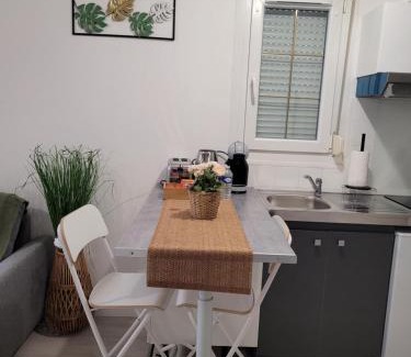 Survilliers Apartment | Cocooning House 204 Suite Green- Superb studio Aéroport PARIS Roissy CDG, Parc ASTERIX, Château de CHANTILLY, STADE DE FRANCE