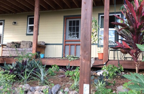Captain Cook Apartment | coffee farm
