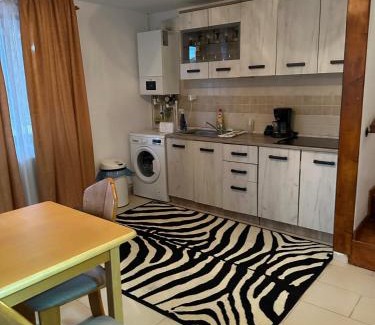 Beclean House | Cole si Denisa