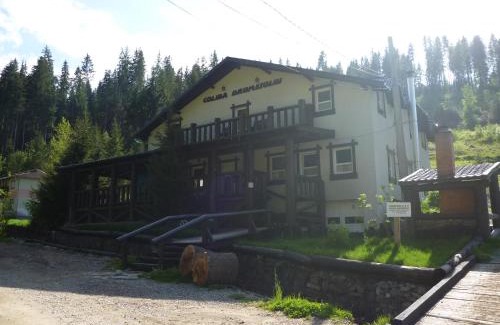 Vatra Dornei Hotel | Coliba Drumetului