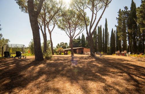 Massa Marittima House | Coliberto