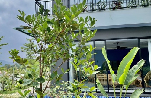 Ngoc Thanh Villa | Collie Villa Venus Flamingo swimming pool with full equipment