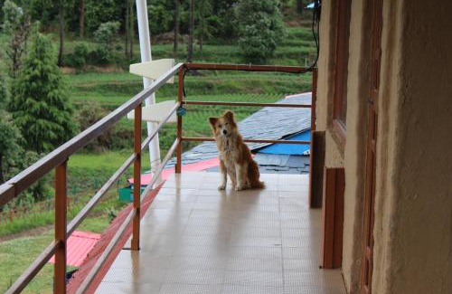 Jogindarnagar Bed & Breakfast | Colonel's Barot Highland Retreat