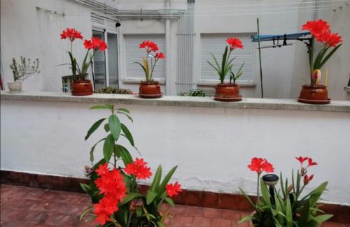 Las Campas y San Claudio Apartment | Colores