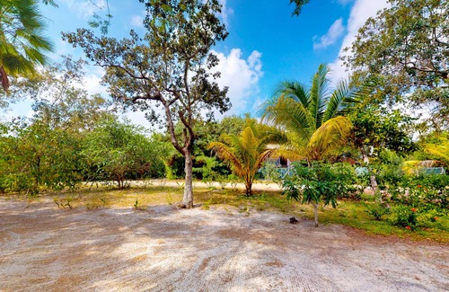 Placencia Cabin | Colorful and charming cabana with WiFi & partial AC - walk to beach