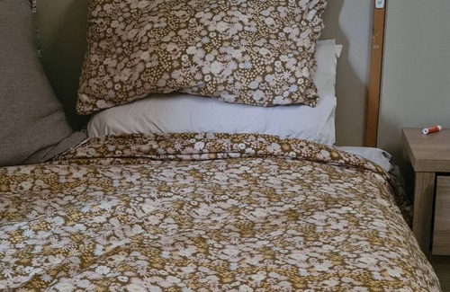 Clyde Cottage | Colourful cute bach in Clyde (2bdrm)