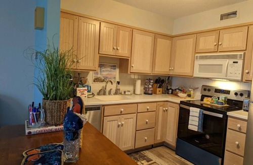 Summerton Apartment | Come on Down to Goat Island!n