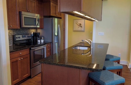 McGaheysville Condo | Come stay at Massanutten Resort's Regal Vista for a relaxing vacay!