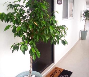 Cancun Apartment | Come to Paradise an be our Guest in Dream Cancun!