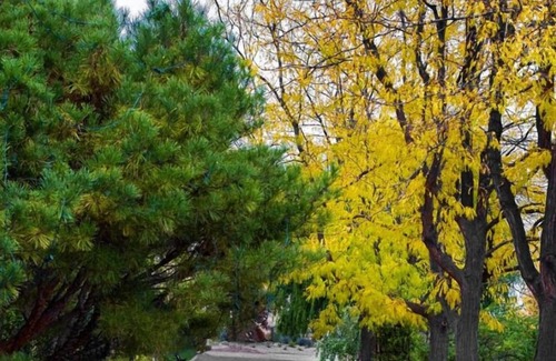 Southeast Boise House | Comfort and Convenience! Free Onsite Parking, Pets Allowed, Free Breakfast
