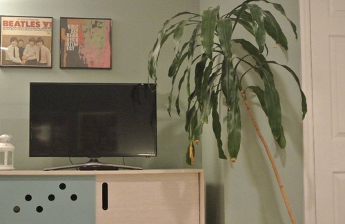 Kearny Apartment | Comfort and Convenience to NYC