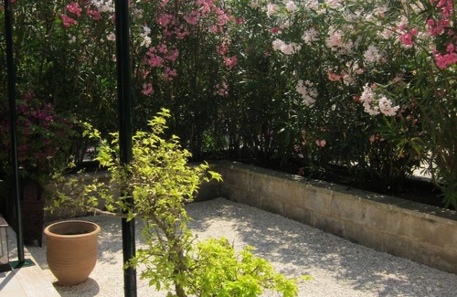 Otranto Condo | Comfort apartments ground floor