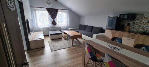 Petrosani Apartment | Comfort Home Studio