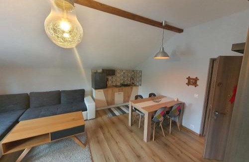 Petrosani Apartment | Comfort Home Studio