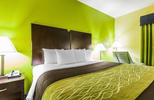 Athens Hotel | Comfort Inn Athens I - 75