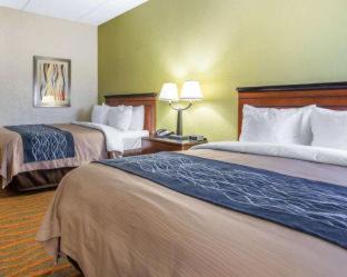 Conyers Hotel | Comfort Inn Conyers
