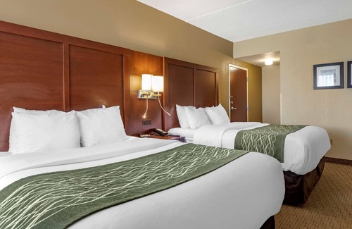 Warren Hotel | Comfort Inn Detroit/Warren Sterling Heights