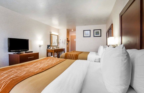 Elko Hotel | Comfort Inn Elko
