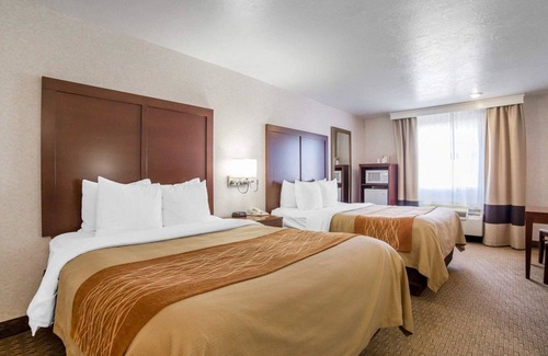 Elko Hotel | Comfort Inn Elko