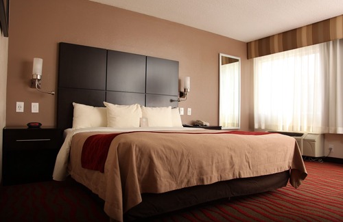 Sunset Junction Hotel | Comfort Inn Los Angeles near Hollywood