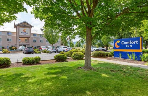 Medford Hotel | Comfort Inn Medford South