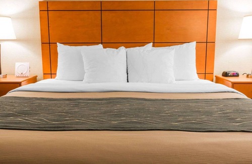 Romulus Hotel | Comfort Inn Metro Airport