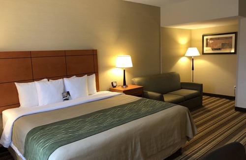 Romulus Hotel | Comfort Inn Metro Airport