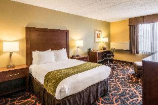 Plymouth Hotel | Comfort Inn Plymouth-Minneapolis