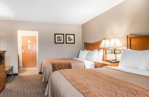 Springfield Hotel | Comfort Inn South - Springfield