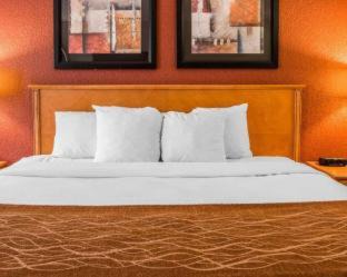 Mount Pleasant Hotel | Comfort Inn & Suites and Conference Center