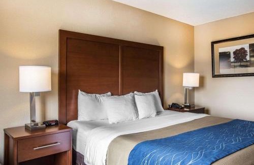 Blue Ridge Hotel | Comfort Inn & Suites Blue Ridge