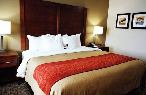 Covington Hotel | Comfort Inn & Suites Covington - Mandeville
