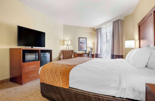 Malbis Hotel | Comfort Inn & Suites Daphne Spanish Fort - Mobile East