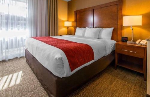 Erie Hotel | Comfort Inn & Suites Erie - Splash Harbor Indoor Waterpark
