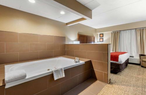 Graysville Hotel | Comfort Inn & Suites Hamilton Place